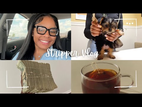 STRIPPER VLOG♡: $3,000 IN 2 DAYZ, WHERE HAVRE I BEEN?, NEW PUPPY, GYM, SHOPPING, AND MOREEEヅ